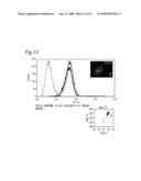 Method of classifying antibody, method of identifying antigen, method of obtaining antibody or antibody set, method of constructing antibody panel and antibody or antibody set and use of the same diagram and image