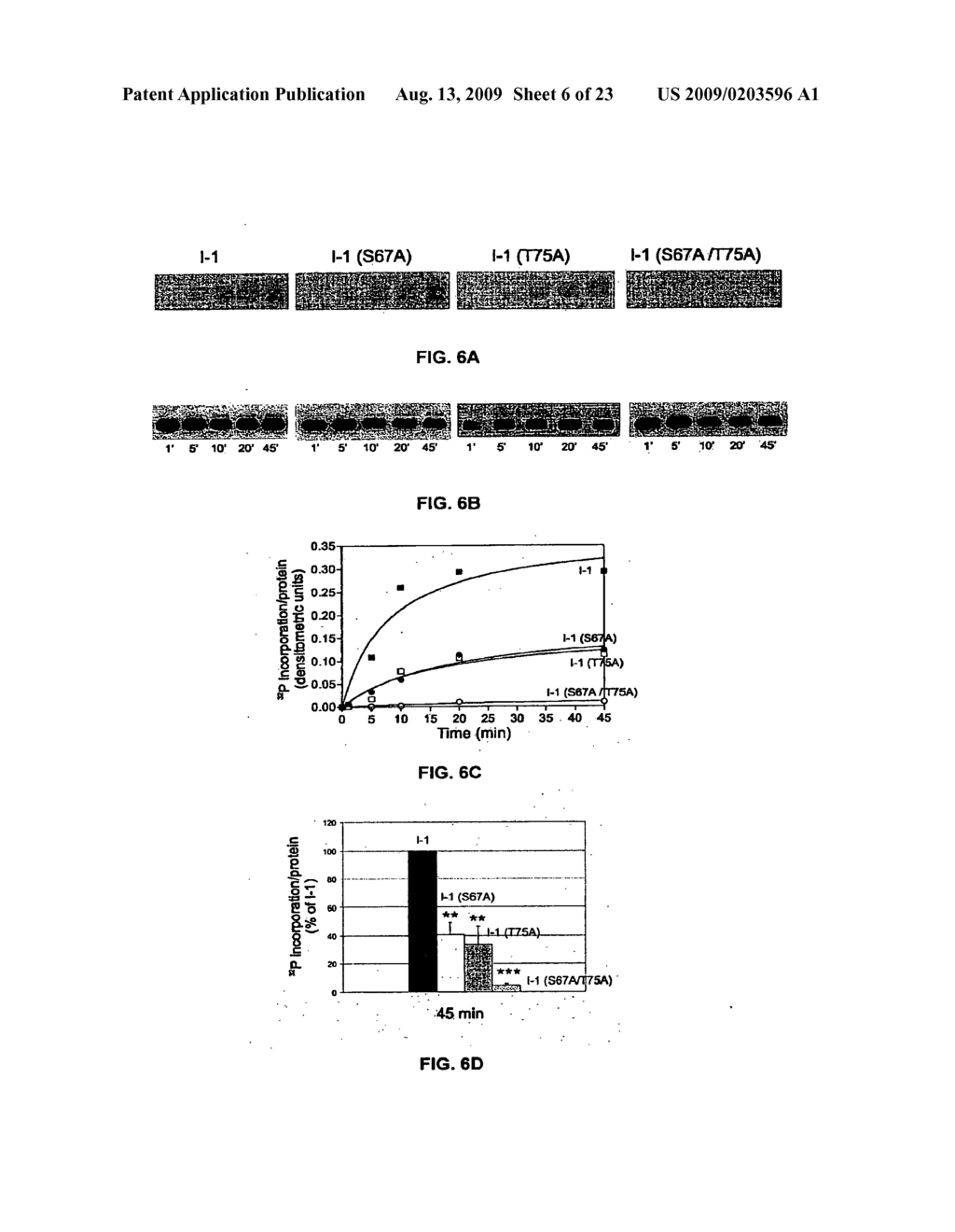 Phosphatase Inhibitor Protein-1 As A Regulator of Cardiac Function - diagram, schematic, and image 07