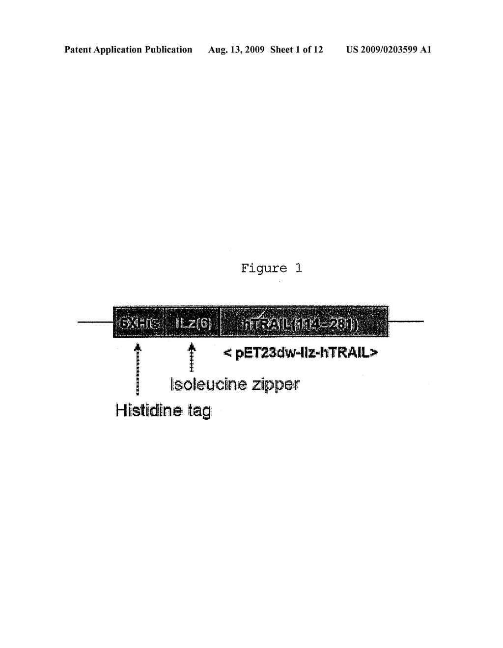 N-TERMINAL MODIFIED PEG-TRAIL, METHOD FOR PREPARING AND USES THEREOF - diagram, schematic, and image 02