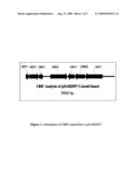 XENORHABDUS TC PROTEINS AND GENES FOR PEST CONTROL diagram and image