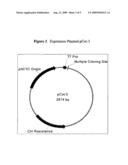 XENORHABDUS TC PROTEINS AND GENES FOR PEST CONTROL diagram and image