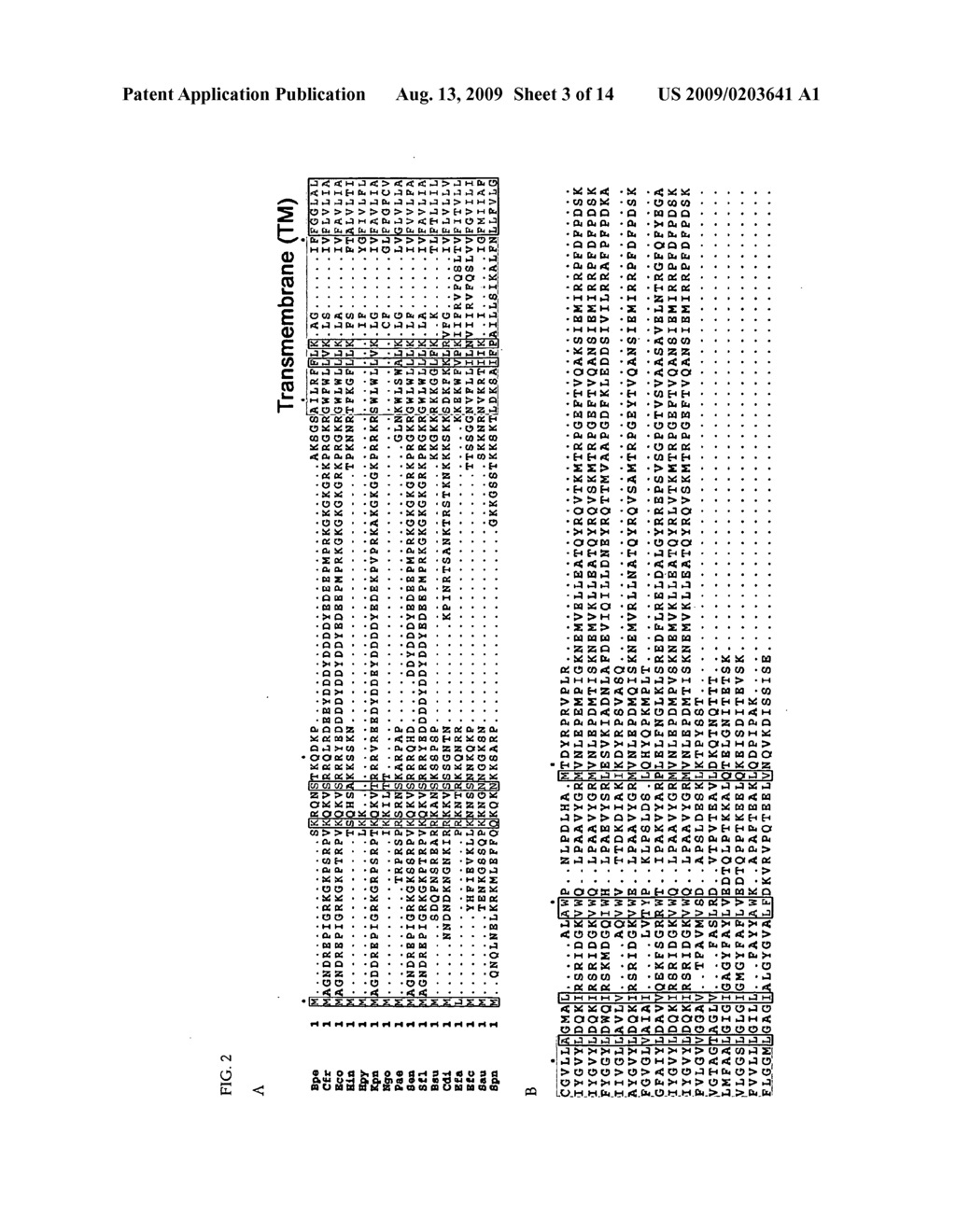 ANTIBIOTIC COMPOSITIONS AND RELATED SCREENING METHODS - diagram, schematic, and image 04