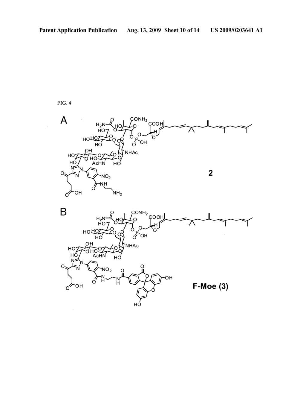 ANTIBIOTIC COMPOSITIONS AND RELATED SCREENING METHODS - diagram, schematic, and image 11