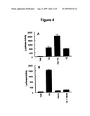 METHODS FOR THE PRODUCTION OF BILIVERDIN diagram and image