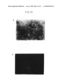 NUCLEIC ACID-CONTAINING COMPLEX diagram and image