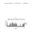 siRNA targeting cyclin-dependent kinase 4 (CDK4) diagram and image