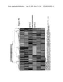 siRNA targeting cyclin-dependent kinase 4 (CDK4) diagram and image