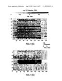 METHODS FOR USING CO-REGULATED GENESETS TO ENHANCE DETECTION AND CLASSIFICATION OF GENE EXPRESSION PATTERNS diagram and image