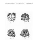 Caspase-9 deficient animals and the use thereof diagram and image