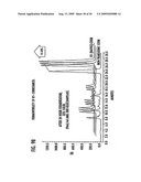CHLAMYDOMONAS GLUCAN DIKINASE GENE, ENZYME AND MODIFIED STARCH, USES, METHODS FOR PRODUCTION THEREOF diagram and image