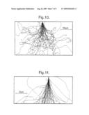 Direct Electron Detector diagram and image