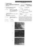 Method for Producing Porous Silica Ceramic Material diagram and image