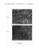 Method for Producing Porous Silica Ceramic Material diagram and image