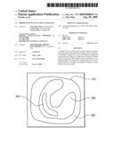 ERROR ADAPTIVE FUNCTIONAL IIMAGING diagram and image