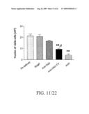 SUPERANTIBODY SYNTHESIS AND USE IN DETECTION, PREVENTION AND TREATMENT OF DISEASE diagram and image