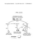 SUPERANTIBODY SYNTHESIS AND USE IN DETECTION, PREVENTION AND TREATMENT OF DISEASE diagram and image