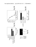 SUPPRESSORS OF CpG OLIGONUCLEOTIDES AND METHODS OF USE diagram and image