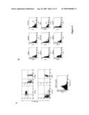 Regulation of dendritic cell functions by the DCAL-2 receptor diagram and image