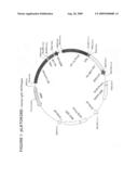 Antibodies That Bind OV064 and Methods of Use Therefor diagram and image