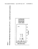 Lyophilized Immunoglobulin Formulations and Methods of Preparation diagram and image