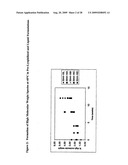 Lyophilized Immunoglobulin Formulations and Methods of Preparation diagram and image