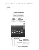 Genetic Products Differentially Expressed In Tumors And The Use Thereof diagram and image