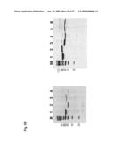 Genetic Products Differentially Expressed In Tumors And The Use Thereof diagram and image