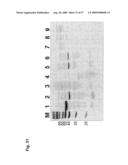 Genetic Products Differentially Expressed In Tumors And The Use Thereof diagram and image