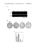 METHOD OF DIAGNOSING ESOPHAGEAL CANCER diagram and image