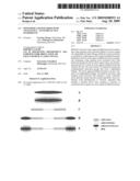 Monomers and Polymers with Covalently - Attached Active Ingredients diagram and image