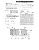 CONTROL OF THE DEGRADATION OF BIODEGRADABLE IMPLANTS USING A COATING diagram and image