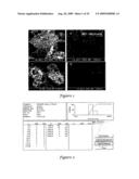 Templated Open Flocs of Anisotropic Particles for Enhanced Pulmonary Delivery diagram and image