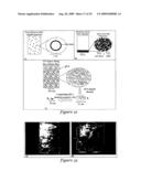 Templated Open Flocs of Anisotropic Particles for Enhanced Pulmonary Delivery diagram and image