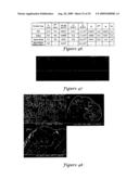 Templated Open Flocs of Anisotropic Particles for Enhanced Pulmonary Delivery diagram and image