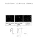 Templated Open Flocs of Anisotropic Particles for Enhanced Pulmonary Delivery diagram and image