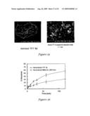 Templated Open Flocs of Anisotropic Particles for Enhanced Pulmonary Delivery diagram and image