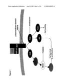 UTILITY OF RET MUTANT IN DIAGNOSIS AND TREATMENT OF MELANOMA diagram and image