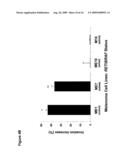 UTILITY OF RET MUTANT IN DIAGNOSIS AND TREATMENT OF MELANOMA diagram and image