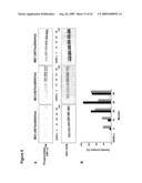 UTILITY OF RET MUTANT IN DIAGNOSIS AND TREATMENT OF MELANOMA diagram and image