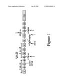 Gene Involved in V(D)J recombination and/or DNA repair diagram and image