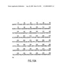 Methods to identify compounds useful for the treatment of proliferative and differentiative disorders diagram and image