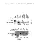 Methods to identify compounds useful for the treatment of proliferative and differentiative disorders diagram and image