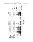 Methods to identify compounds useful for the treatment of proliferative and differentiative disorders diagram and image