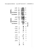 Methods to identify compounds useful for the treatment of proliferative and differentiative disorders diagram and image