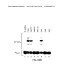 Methods to identify compounds useful for the treatment of proliferative and differentiative disorders diagram and image