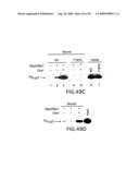 Methods to identify compounds useful for the treatment of proliferative and differentiative disorders diagram and image