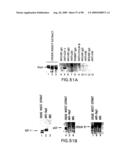 Methods to identify compounds useful for the treatment of proliferative and differentiative disorders diagram and image