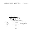 HUMAN PROTEIN ACYL TRANSFERASES AND METHODS OF USES THEREFOR diagram and image