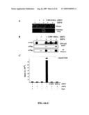 HUMAN PROTEIN ACYL TRANSFERASES AND METHODS OF USES THEREFOR diagram and image