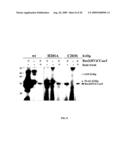 HUMAN PROTEIN ACYL TRANSFERASES AND METHODS OF USES THEREFOR diagram and image